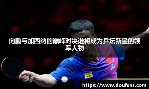 向鹏与加西纳的巅峰对决谁将成为乒坛新星的领军人物
